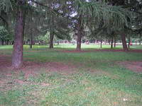 ����������� ����