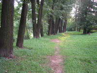 ����������� ����