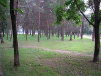 ������������ ������